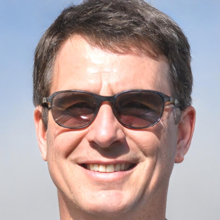 Ritratto professionale di Lazzaro Ferri